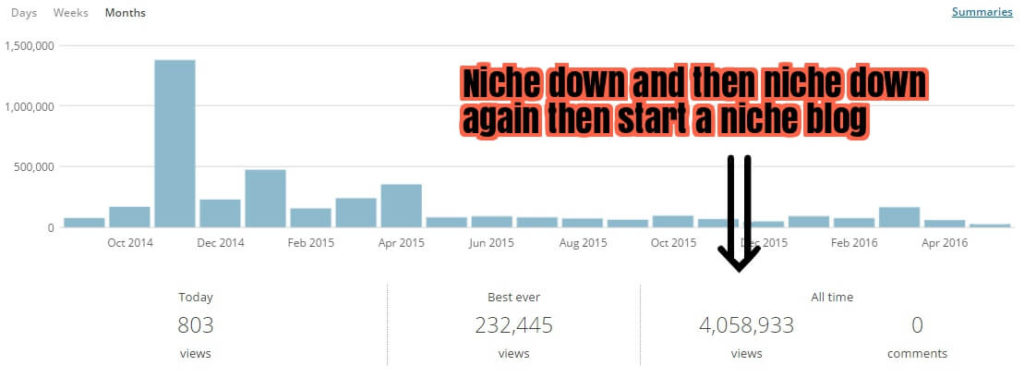 This is what happens when you start a niche blog
